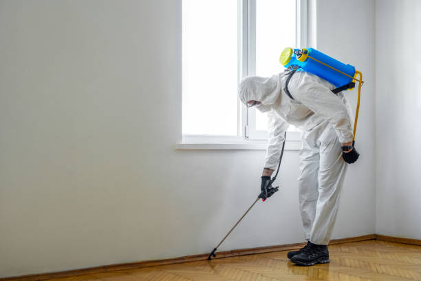 Best Pest Control Near Me in Lacombe, LA