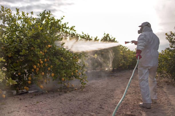 Best Commercial Pest Control Services  in Combe, LA