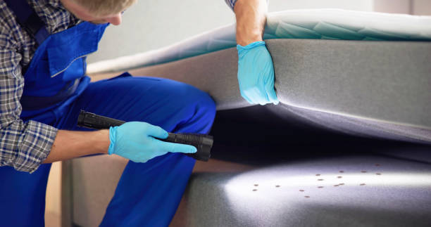 Best Pest Removal Services  in Combe, LA